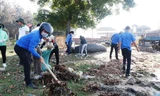 Ra quân thu gom rác thải, rác thải nhựa tại vùng đầm phá thị trấn Thuận An, TT-Huế.