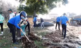 Ra quân thu gom rác thải, rác thải nhựa tại vùng đầm phá thị trấn Thuận An, TT-Huế.
