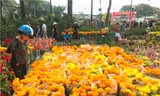 Chợ hoa Tết lớn nhất Sài Gòn nhộn nhịp ngày cuối năm