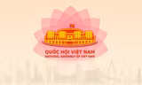 Phương án giảm 4 ủy ban của Quốc hội và 1 cơ quan thuộc Ủy ban Thường vụ Quốc hội