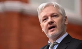 Ông trùm WikiLeaks Julian Assange