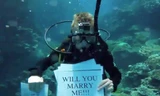 Phát sốt với chàng trai lặn xuống biển để cầu hôn