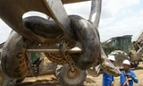 Con trăn khổng lồ được phát hiện trong một công trường xây dựng đập ở Brazil