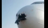 Đại bàng đâm thủng mũi máy bay