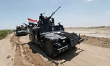 Quân chính phủ Iraq gần Fallujah hôm 31/5