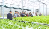 Hà Nội hoàn thành nhiệm vụ xây dựng nông thôn mới 
