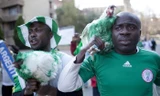 CĐV Nigeria bị cấm mang gà vào sân xem World Cup 