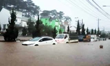 Hàng loạt ô tô bị ngập, chết máy trên đường