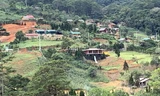 Ngôi làng "mọc" trái phép trên đất lâm nghiệp