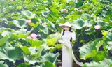 Hoa hậu các dân tộc Việt Nam đẹp dịu dàng giữa đầm sen