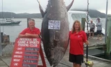 Câu được cá ngừ hơn 400 kg, trị giá 40 tỷ đồng