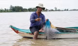 Chơi vơi mùa nước nổi: Đồng Tháp Mười 'đói' tôm, cá 