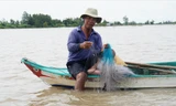 Chơi vơi mùa nước nổi: Đồng Tháp Mười 'đói' tôm, cá 