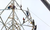 Trên đại công trường 500kV mạch 3 - bài 5: Những câu chuyện cảm động 