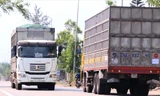  Xe tải chở gỗ dăm cơi thùng cao, chạy liên tục trên các tuyến đường Khu kinh tế Dung QuấtẢnh: Nguyễn Ngọc 