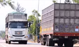  Xe tải chở gỗ dăm cơi thùng cao, chạy liên tục trên các tuyến đường Khu kinh tế Dung QuấtẢnh: Nguyễn Ngọc 