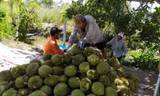 Sầu riêng tăng giá kỷ lục 