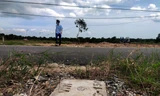Đìa tôm, đất trồng mía ở Khánh Hòa loạn giá 