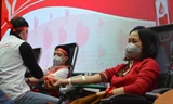 Hiến máu cứu người trong giá buốt 7 độ C 