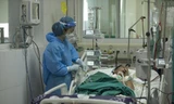 Hà Nội: Số ca F0 nặng, nguy kịch tăng