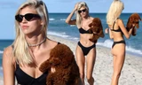 Chiêm ngưỡng vóc dáng đẹp 'từng cm' của siêu mẫu Devon Windsor với bikini