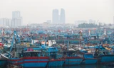 Ứng phó mưa bão, Đà Nẵng quản lý chặt chẽ tàu thuyền