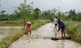 Người dân khẩn trương dọn dẹp vệ sinh sau mưa lũ.