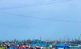 Bão số 3 đến gần, Quảng Ngãi còn gần 600 tàu cá và 5.450 ngư dân trên biển