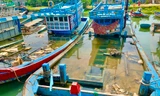 Quảng Ngãi xóa tên 244 tàu trong sổ đăng ký tàu cá quốc gia