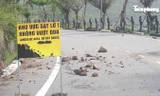 Sạt lở chờ chực trên bán đảo Sơn Trà trước mùa mưa bão