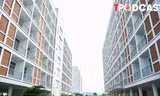 Quỹ nhà ở quốc gia sẽ dùng để làm nhà xã hội cho thuê?