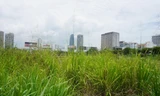 Đà Nẵng rà soát loạt dự án được giao đất nhưng... bỏ hoang