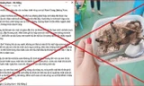 Đăng tin sai sự thật 'hộp cơm thịt chuột', một người đàn ông bị phạt 7,5 triệu đồng