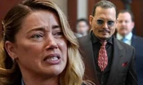 Ê kíp của Johnny Depp phản hồi về lời khai của Amber Heard: Màn trình diễn để đời