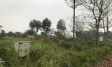 hàng chục ha đất khu đô thị Hà Phong thuộc xã Tiền Phong, huyện Mê Linh, Hà Nội bỏ hoang cả chục năm