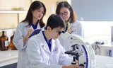 USTH công bố đề thi mẫu 2025: Bí quyết chinh phục kỳ thi đánh giá năng lực