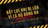 Cá độ World Cup kéo theo hệ lụy lừa đảo và vay nặng lãi, người trẻ cần tránh xa
