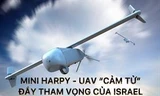 Mini Harpy – UAV 'cảm tử' đầy tham vọng của Israel