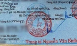 Chuyên gia nói gì về cà-vẹt ô tô sai tiếng Anh?