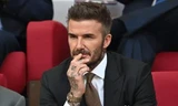 David Beckham và dàn WAGs tuyển Anh trên khán đài trận thắng 6-2