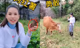 'Tiểu Long Nữ' Lý Nhược Đồng gây sốt với video chăn bò, lùa vịt