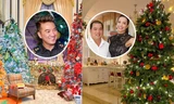 Nhà sao Việt ngợp sắc màu Noel: Đàm Vĩnh Hưng, Thúy Hạnh chi khủng mua đồ trang trí