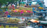 Chợ hoa ‘trên bến dưới thuyền’ hối hả chạy tết từ sáng đến tối