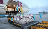 Lô vắc-xin Moderna được chuyển về Việt Nam. (Ảnh: US AID)