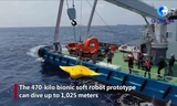 Robot hình dạng cá đuối được thử nghiệm ở quần đảo Hoàng Sa của Việt Nam