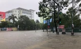 Mưa cực lớn tại Nghệ An, đường phố thành Vinh ngập sâu trong nước