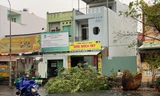 Cây đổ, đường phố TPHCM mênh mông nước sau mưa lớn