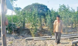 Ông Nguyễn Văn Bỉ trên khu đất vườn nơi ông cất chòi nuôi vịt. Ảnh: Việt văn
