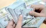 Giá USD tăng trong những ngày qua khiến cả người dân và doanh nghiệp đều rất quan tâm.