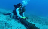 Sự cố đứt cáp quang biển: Vẫn chưa có chính sách hỗ trợ khách hàng